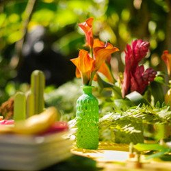 bouteille vase nid d'abeille vert