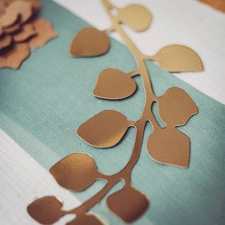 Feuilles eucalyptus kraft