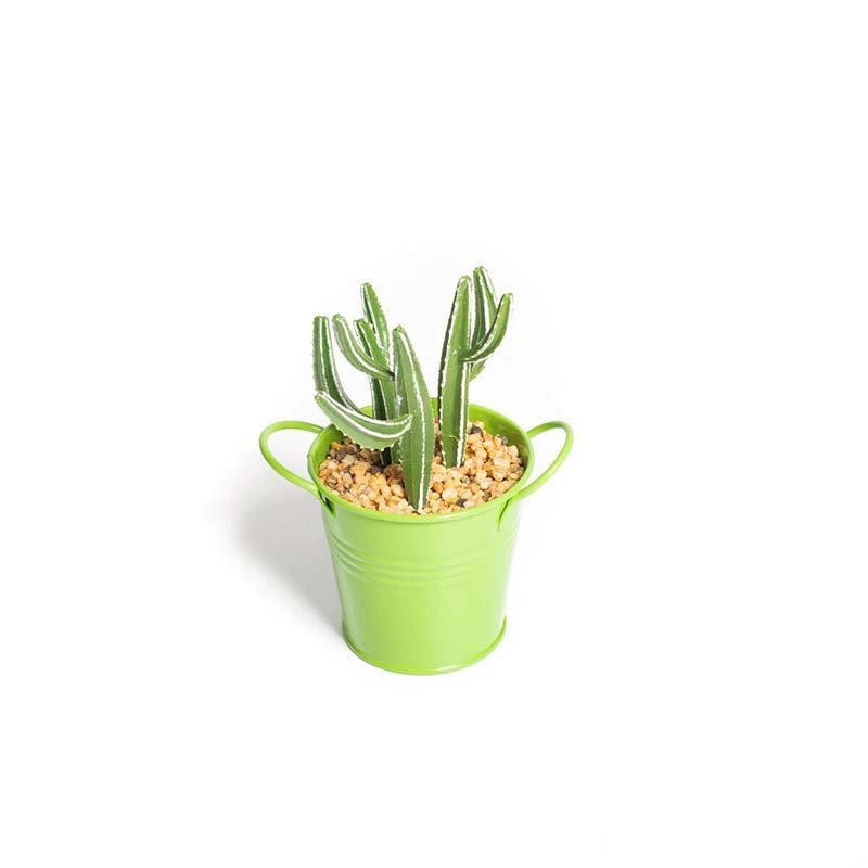 Plantes succulentes dans pot métal anis