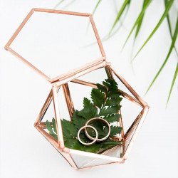 Mini terrarium géométrique porte alliance cuivré