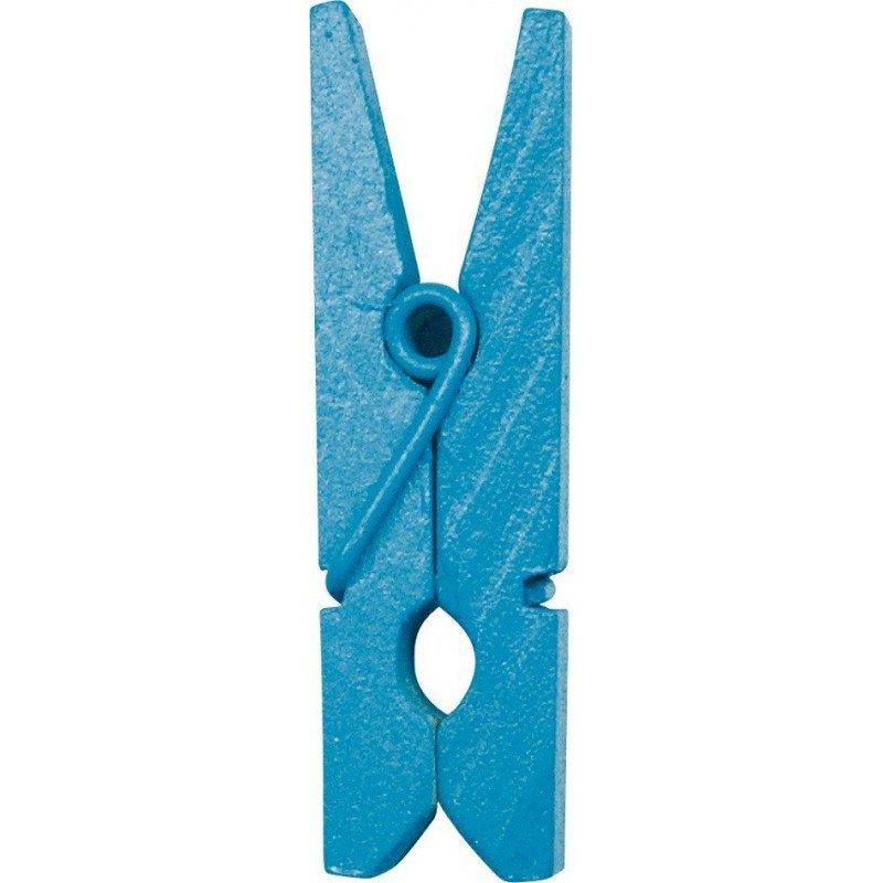 Pince en bois turquoise (x12)