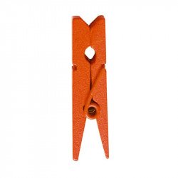 Pinces en bois (mini x24) orange