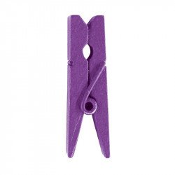 Pinces en bois (mini x24) violet