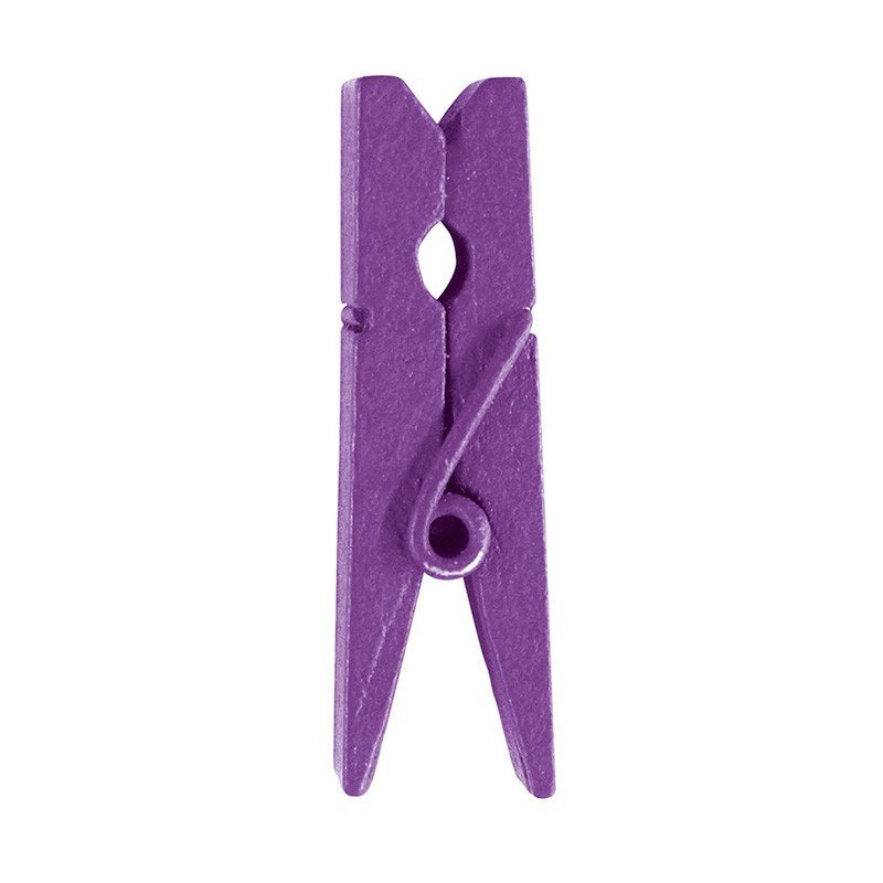 Pinces en bois (mini x24) violet