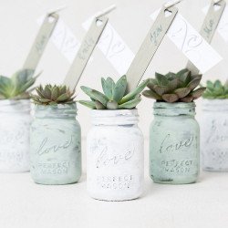 Pot en verre love mason jar avec des plante verte dedans 