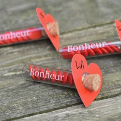 Eprouvette transparente écriture  "Bonheur" avec dragée rouge