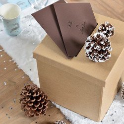 Urne/Tirelire cadeau kraft unie